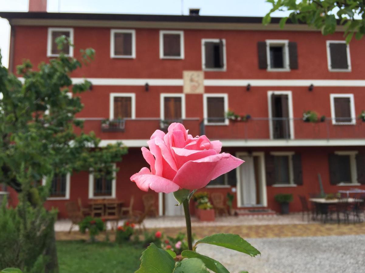 B&B Casa Del Conte Soligo Dış mekan fotoğraf