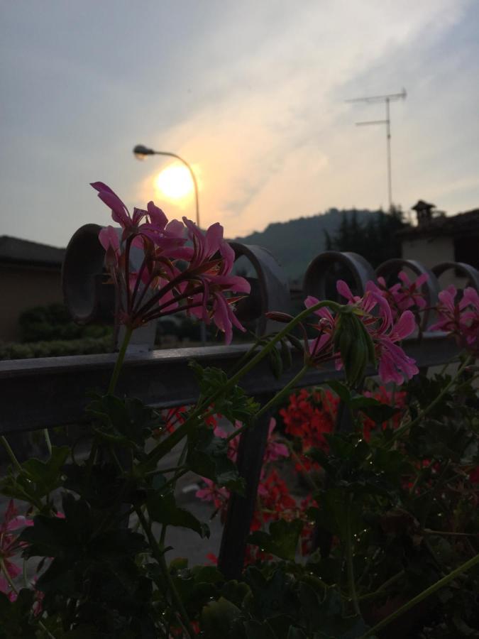 B&B Casa Del Conte Soligo Dış mekan fotoğraf
