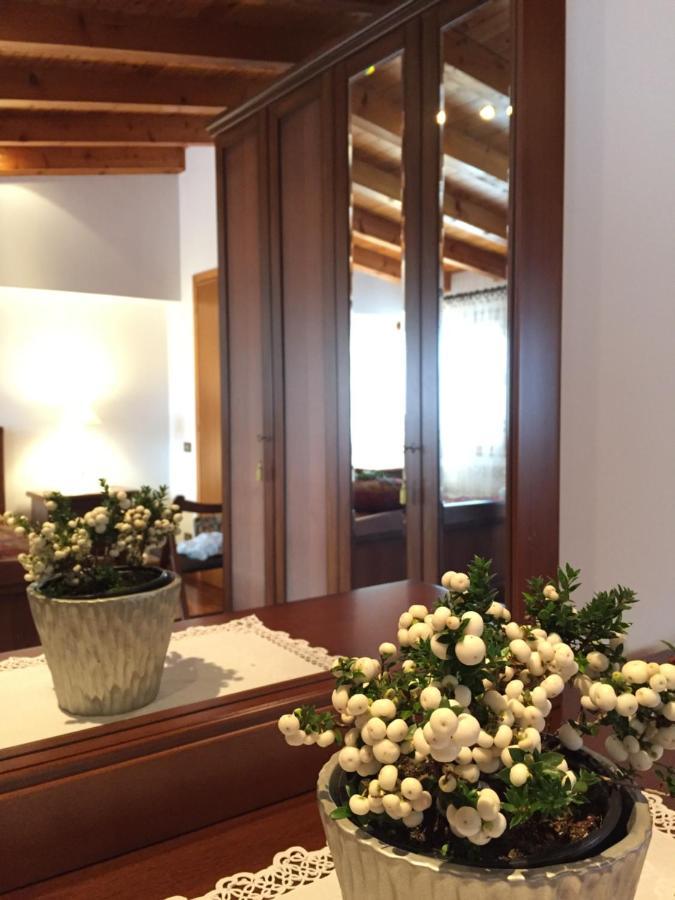 B&B Casa Del Conte Soligo Dış mekan fotoğraf
