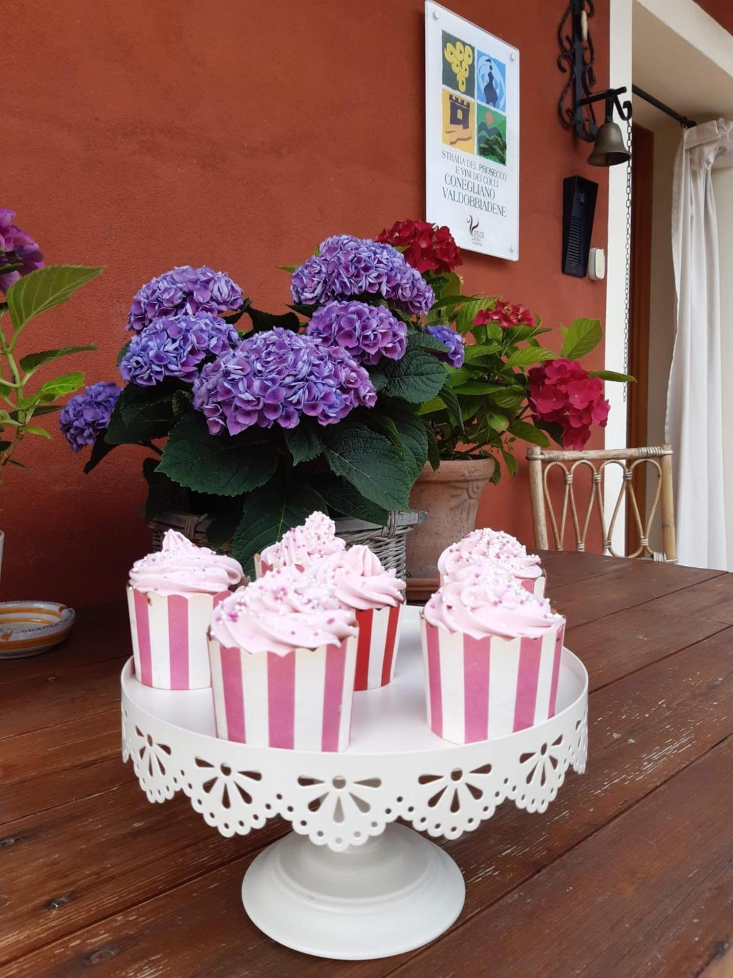 B&B Casa Del Conte Soligo Dış mekan fotoğraf