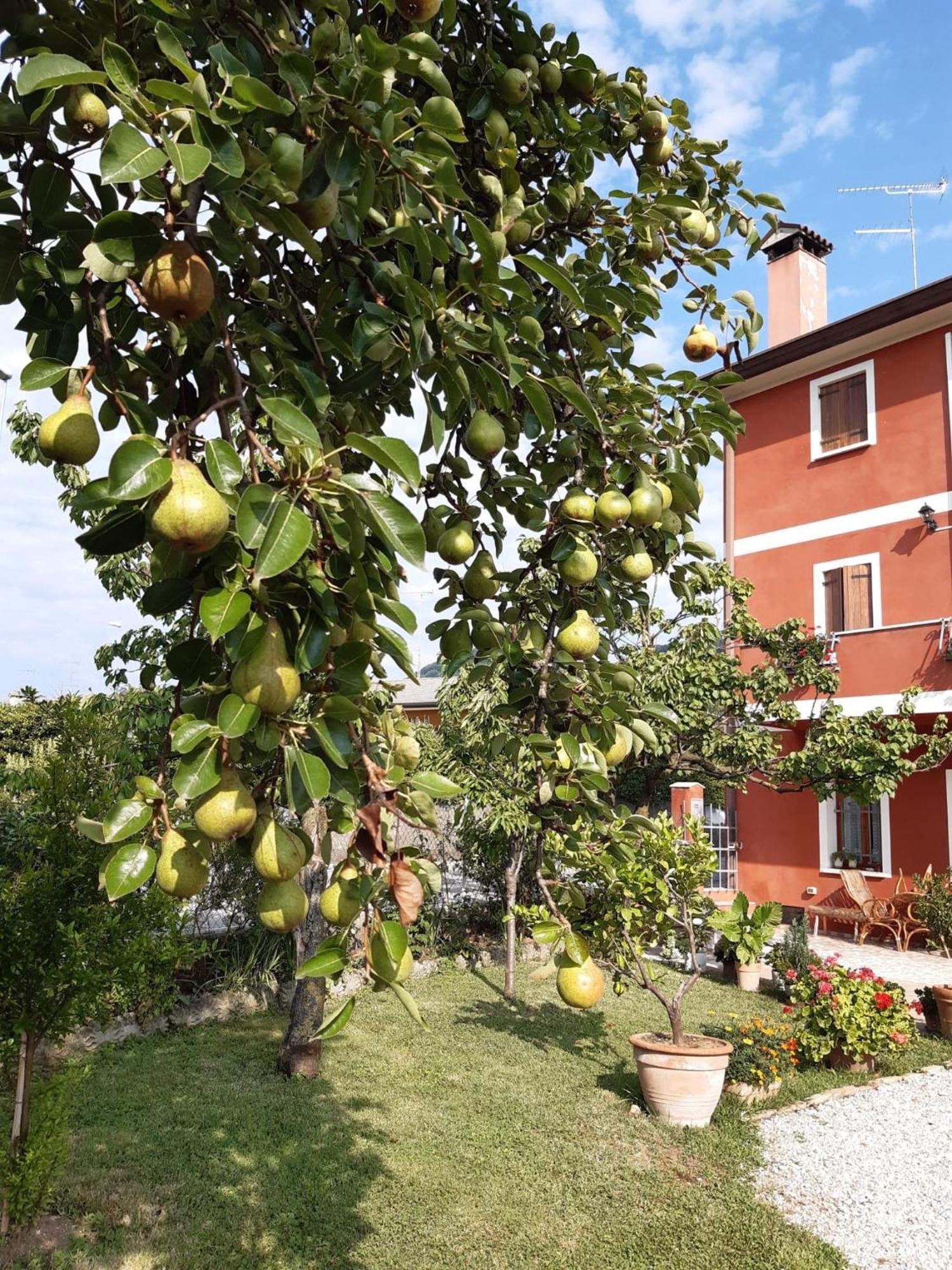 B&B Casa Del Conte Soligo Dış mekan fotoğraf